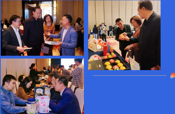 微信截图_20250331153316.png